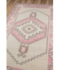Momeni Anatolia Area Rug ANA-2 Pink 2' X 3'