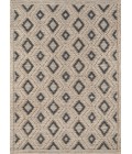 Andes Area Rug Momeni Andes Area Rug AND-2 Beige 2' X 3'