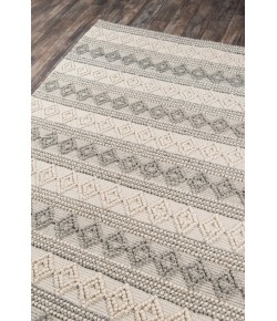 Momeni Andes And10 Ivory Area Rug 2 ft. X 3 ft. Rectangle