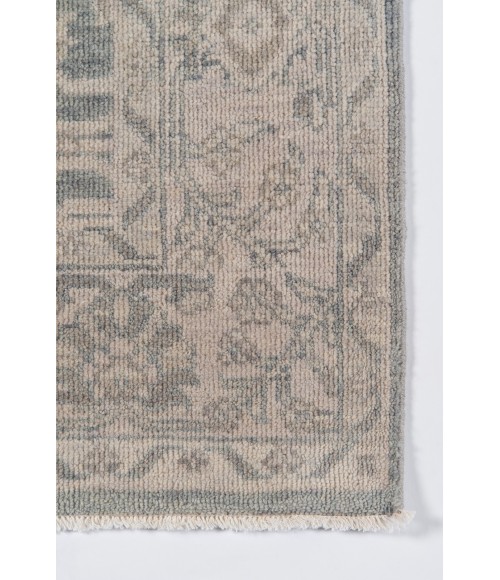 Banaras Area Rug Momeni Banaras Area Rug BNR-2 Sage 3'9 X 5'9