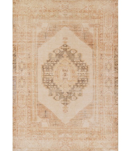 Chandler CHN-9 Beige 4' X 6' Momeni Chandler CHN-9 Beige 4' X 6' Area Rug