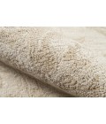 Momeni Cosette Area Rug COS-2 Beige 9'6 X 13'6