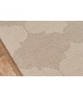 DELHI RUG Momeni Delhi DL-69-36x56 Rug
