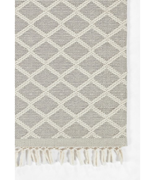 Ember Area Rug Momeni Ember Area Rug EMR-2 Ivory 5' X 8'