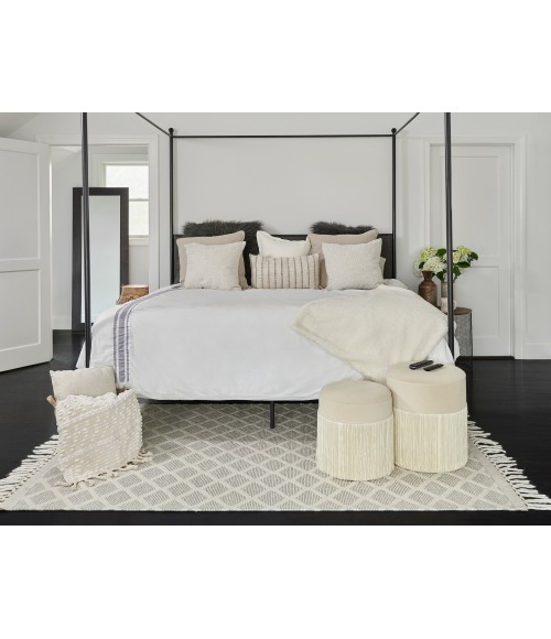 Ember Area Rug Momeni Ember Area Rug EMR-2 Ivory 5' X 8'