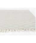 Ember Area Rug Momeni Ember Area Rug EMR-2 Ivory 5' X 8'
