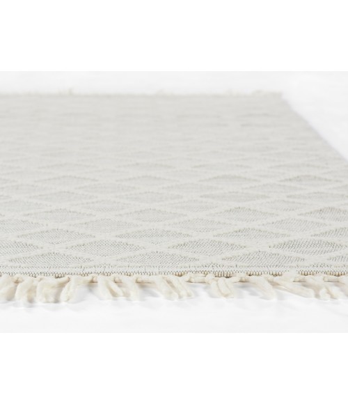 Ember Area Rug Momeni Ember Area Rug EMR-2 Ivory 5' X 8'