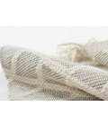 Ember Area Rug Momeni Ember Area Rug EMR-2 Ivory 5' X 8'
