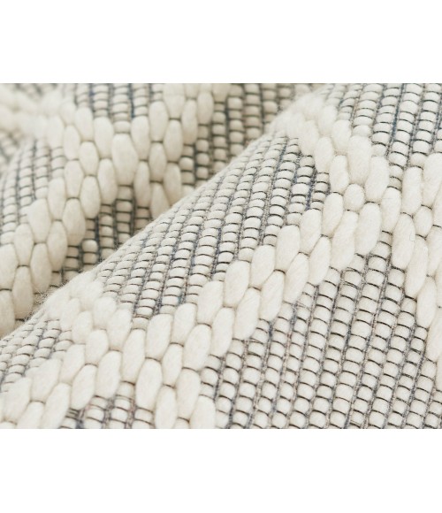 Ember Area Rug Momeni Ember Area Rug EMR-2 Ivory 5' X 8'