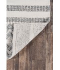 Hermosa Area Rug Momeni Hermosa Area Rug HRM-3 Ivory 2' X 3'