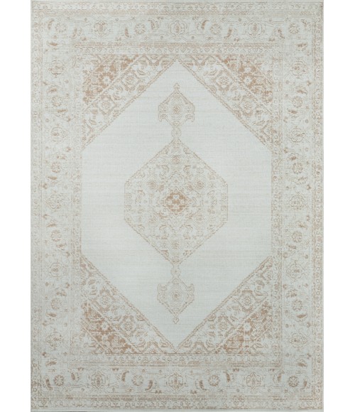 Momeni Isabella Area Rug ISA10 Brown 2' X 3'