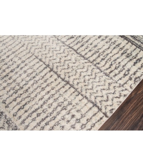Momeni Lima Area Rug LI-02 Ivory 2' X 3'