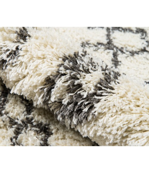 Maya Area Rug Momeni Maya Area Rug MAY-5 Ivory 3'11 X 5'7