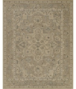 Momeni Pasha PSH-1 Taupe 9 ft. X 12 ft. Rectangle Rug