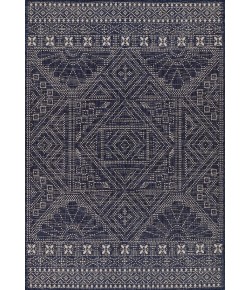 Momeni Riviera Rv-03 Navy Area Rug 2 ft. X 3 ft. Rectangle