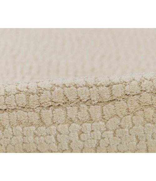Momeni Wren WRE-4 Rug Momeni Wren WRE-4 Ivory 7 ft. 10 in. X 10 ft. Rectangle Rug