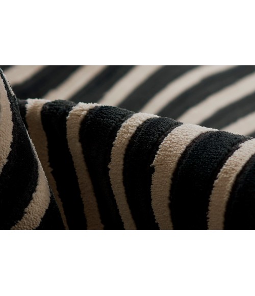 Xander Area Rug Momeni Xander Area Rug XAN-2 Black 9'3 X 12'6