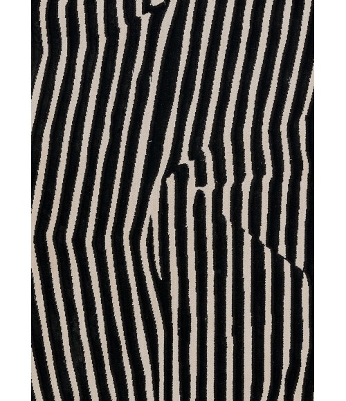 Xander Area Rug Momeni Xander Area Rug XAN-2 Black 9'3 X 12'6