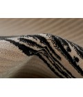 Momeni Xander Area Rug XAN-3 Ivory 2' X 3'