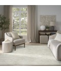 Nourison Dekor Beige DEK05 7 ft. 10 in. X 9 ft. 10 in. Rect. Rug