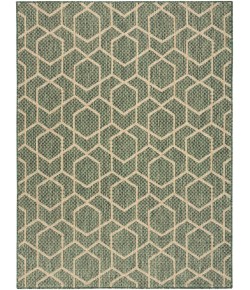Nourison Horizon Indoor/Outdoor Green HOZ01 4 ft. X 6 ft. Rect. Rug