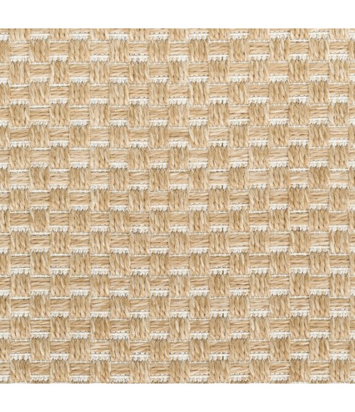 Nourison Tulum Taupe TLM03 8 ft. X Round Rug