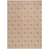 Nourison Casual Brown CSU03 5 ft. 3 in. X 7 ft. Rect. Rug