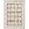 Nourison Home Dekor DEK01 Ivory Brown 5 ft. 3 in. X 7 ft. Area Rug