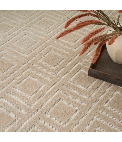 Nourison Care Free Beige CAF03 4 ft. X 6 ft. Rect. Rug