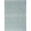 Nourison Positano Aqua POS02 5 ft. X 7 ft. Rect. Rug
