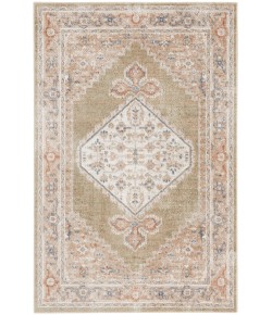 Nourison Astra Washables - Asw11 Sage Multicolor Area Rug 4 ft. X 6 ft. Rectangle