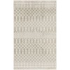 Nourison Astra Machine Washable Sage ASW10 3 ft. 3 in. X 5 ft. Rectangle Rug