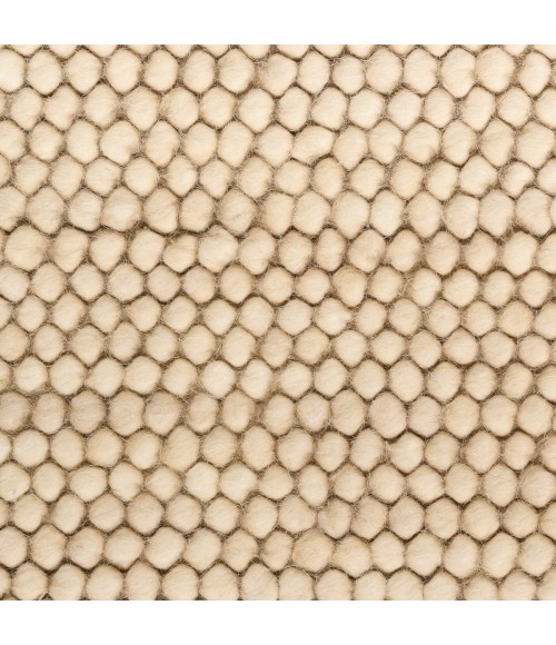 DKNY Pure Knots Beige KNT01 4 ft. X 6 ft. Rect. Rug