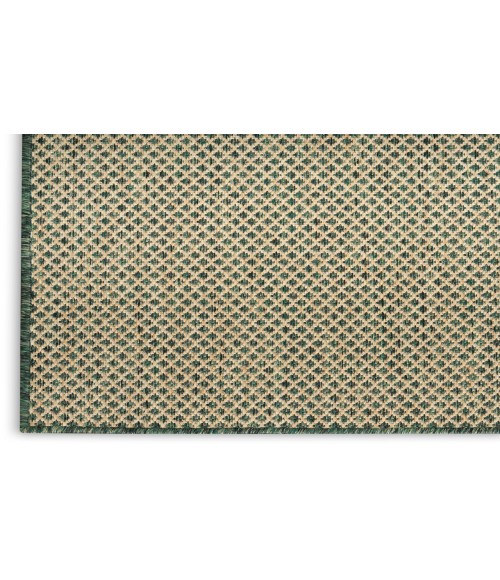 Nourison Courtyard Green COU01 5 ft. X 7 ft. Rectangle Rug