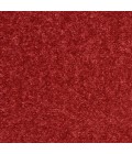 Nourison Essentials Brick Red Area Rug NRE01-Brick Red