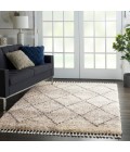 Nourison Scandinavian Shag Ivory/Grey SCN01 4 ft. X 6 ft. Rect. Rug