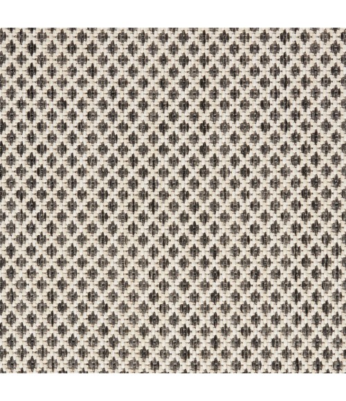 Nourison Courtyard Area Rug COU01 Ivory Charcoal 2' x 3'