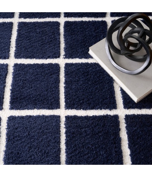 DKNY West End Ave Navy Ivory WTE01 8 ft. X 10 ft. Rect. Rug
