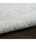 Nourison Astra Machine Washable Light Grey ASW11 4 ft. X 6 ft. Rect. Rug