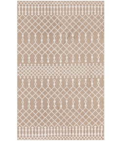 Nourison Astra Machine Washable Taupe ASW10 3 ft. 3 in. X 5 ft. Rectangle Rug
