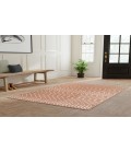 Nourison Astra Machine Washable Copper ASW10 4 ft. X 6 ft. Rectangle Rug