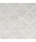 Nourison Astra Machine Washable Area Rug ASW10 Grey