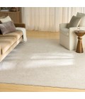 Nourison Outlines Ivory Grey OLN03 6 ft. X 9 ft. Rect. Rug