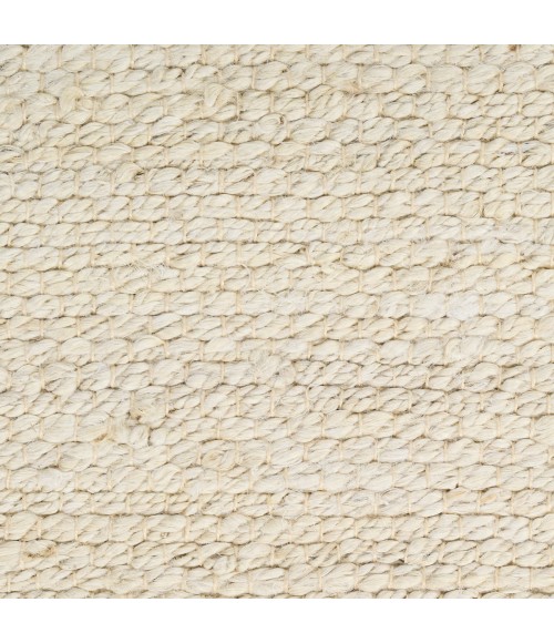 Nourison Natural Jute Ivory NJT01 2 ft. X 3 ft. Rect. Rug