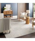 Nourison Splendid Ivory Grey SLD02 7 ft. 10 in. X 9 ft. 10 in. Rect. Rug