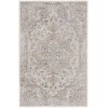 Nourison Astra Washables - Asw12 Silver Grey Area Rug 4 ft. X 6 ft. Rectangle