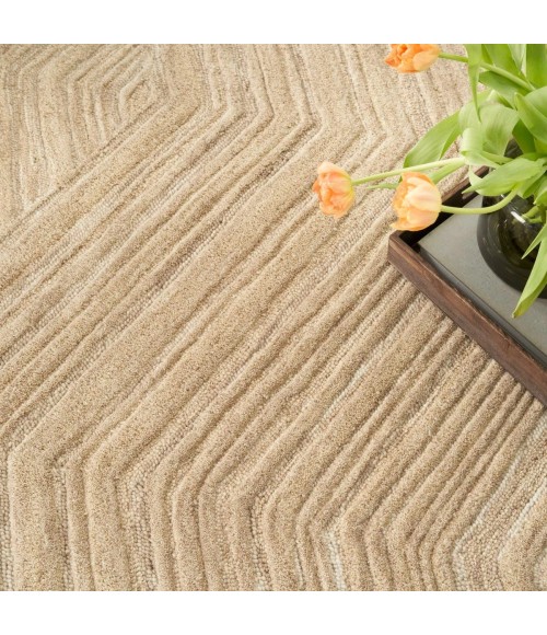 Nourison Graceful Taupe GRU03 5 ft. X 7 ft. Rect. Rug