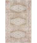 Nourison Astra Machine Washable Sage Multicolor ASW11 2 ft. X 6 ft. Rectangle Rug