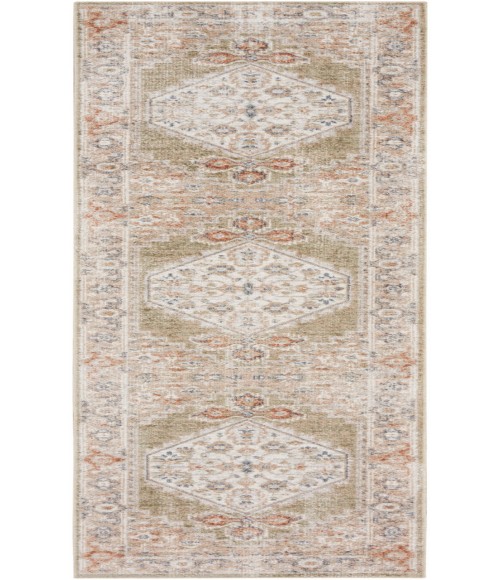 Nourison Astra Machine Washable Sage Multicolor ASW11 2 ft. X 6 ft. Rectangle Rug