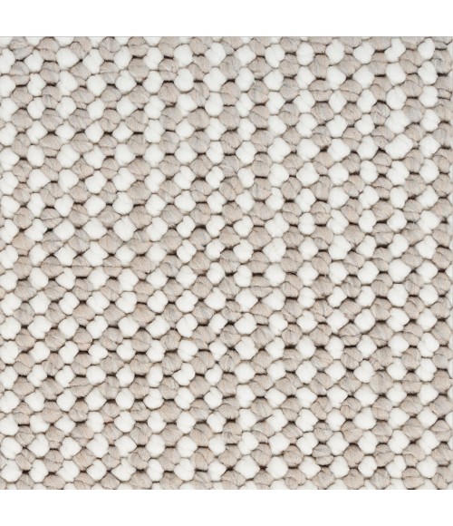 Nourison Textured Home Ivory Mocha TXH01 2 ft. 2 in. X 3 ft. 9 in. Rect. Rug